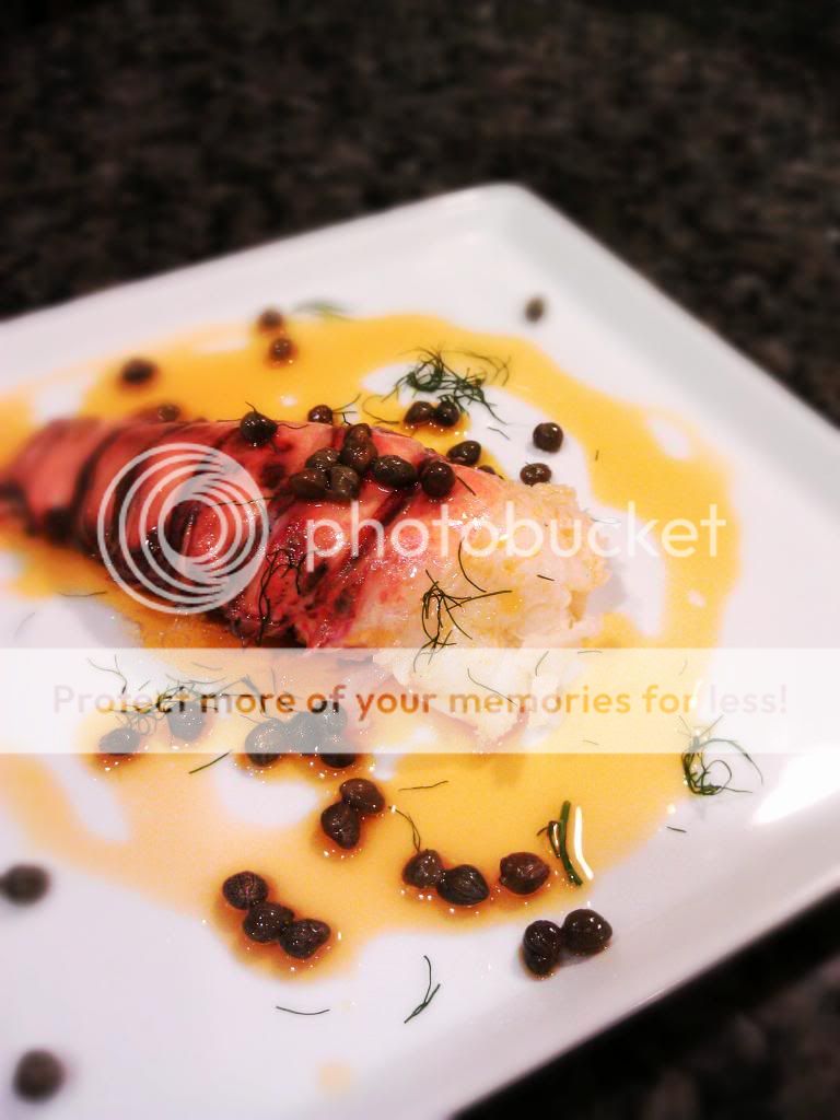 SV lobster tail with oil — Big Green Egg EGGhead Forum The Ultimate